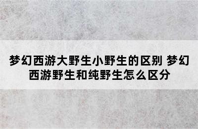 梦幻西游大野生小野生的区别 梦幻西游野生和纯野生怎么区分